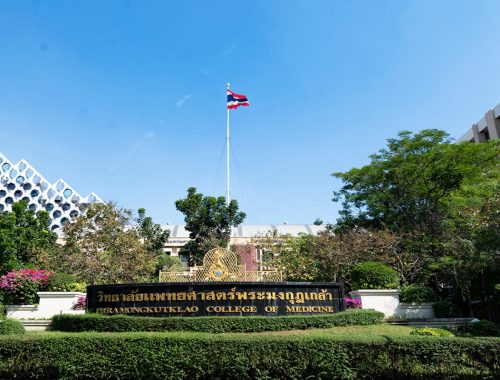 สถาบันผลิตแพทย์พี่เลี้ยง